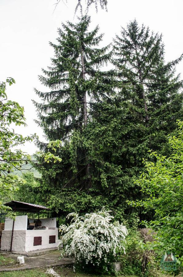 Lodge Zbilje Visoko, Bosnian Pyramids Exterior photo